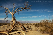 034_usa_2015_deathvalley_california