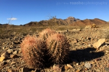 071_usa_2015_deathvalley_california