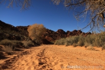 105_usa_2015_valley-of-fire_nevada