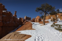 147_usa_2015_brycecanyon_utah