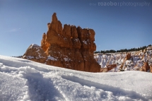 148_usa_2015_brycecanyon_utah