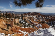 149_usa_2015_brycecanyon_utah