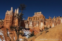 150_usa_2015_brycecanyon_utah