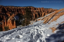 155_usa_2015_brycecanyon_utah