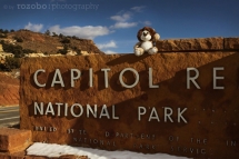 160_usa_2015_capitolreef_utah