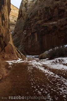 164_usa_2015_capitolreef_utah