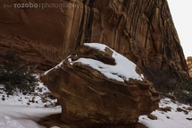 165_usa_2015_capitolreef_utah