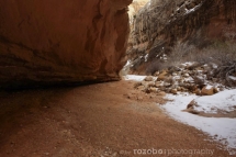 166_usa_2015_capitolreef_utah