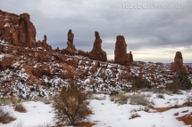 175_usa_2015_archesnp_moab_utah