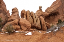 176_usa_2015_archesnp_moab_utah