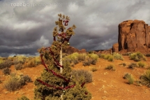 207_usa_2015_monumentvalley_arizona