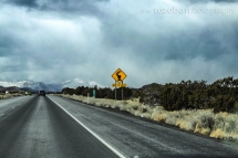 260_usa_2015_r66_arizona