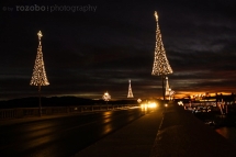 311_usa_2015_lakehavasu_arizona