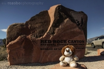 323_usa_2015_redrockcanyon_nevada