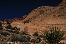 327_usa_2015_redrockcanyon_nevada