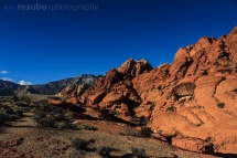 329_usa_2015_redrockcanyon_nevada